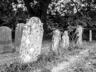 Leaning Graves. 17m f/22 1/50s ISO1000