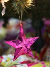 Pink Star. 60mm f/2.8 1/6s ISO1600