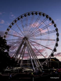 Brisbane Wheel - unbroken!