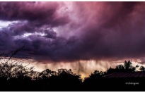 Brisbane Storm - my photo for World Photo Day.
