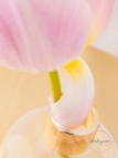 Pink Tulip on Gold Tray